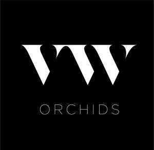 VW Orchids logo