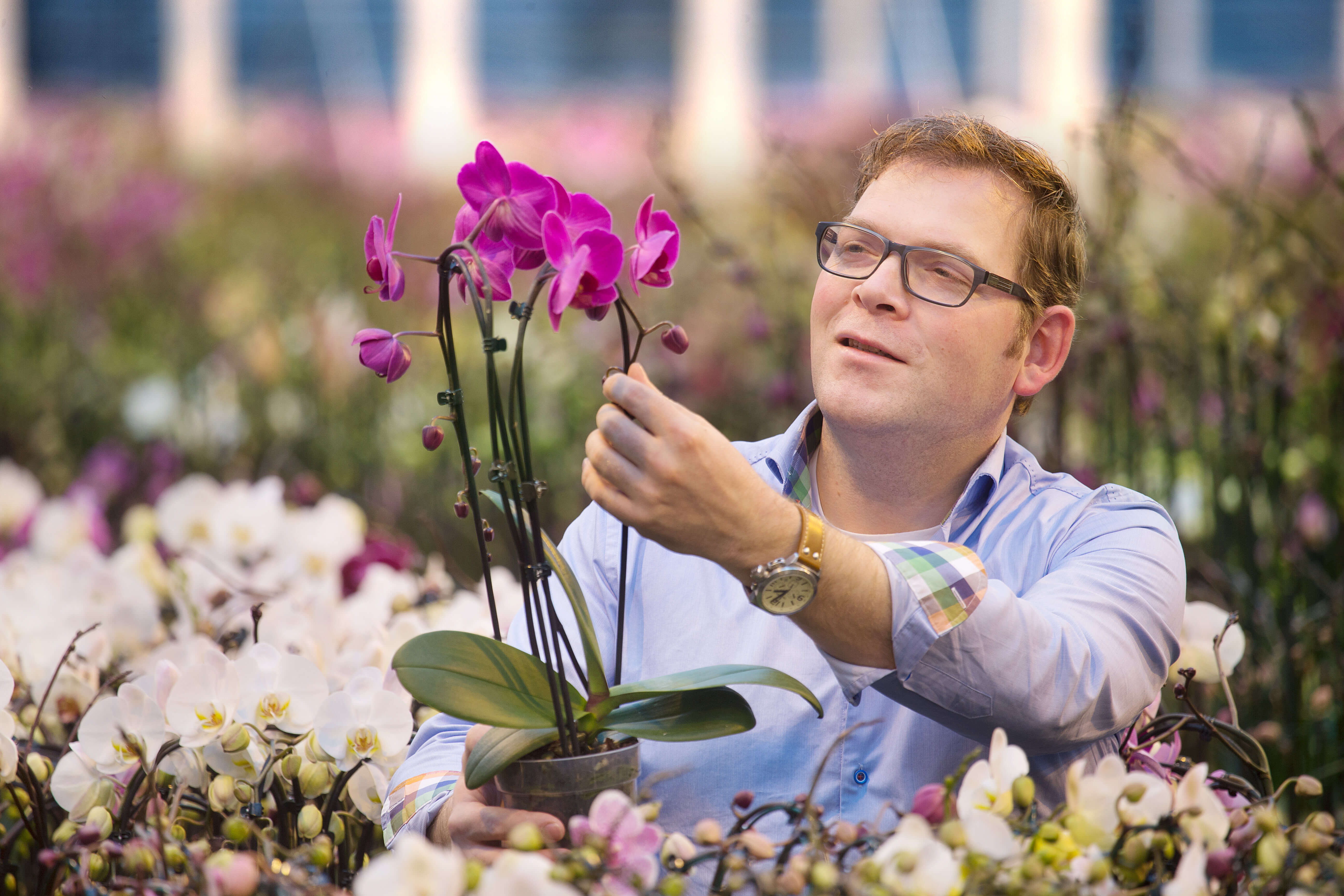 Stolk Orchids is de ‘ecofriendly family’ met een duidelijke (duurzame) visie