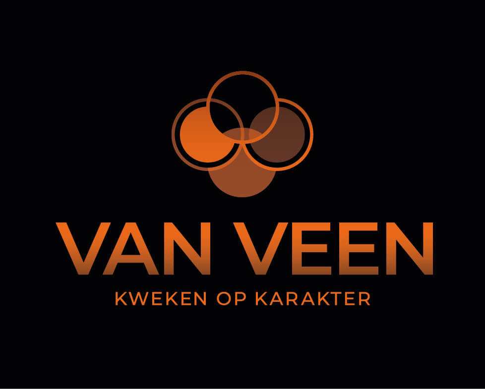 Logo van Veen