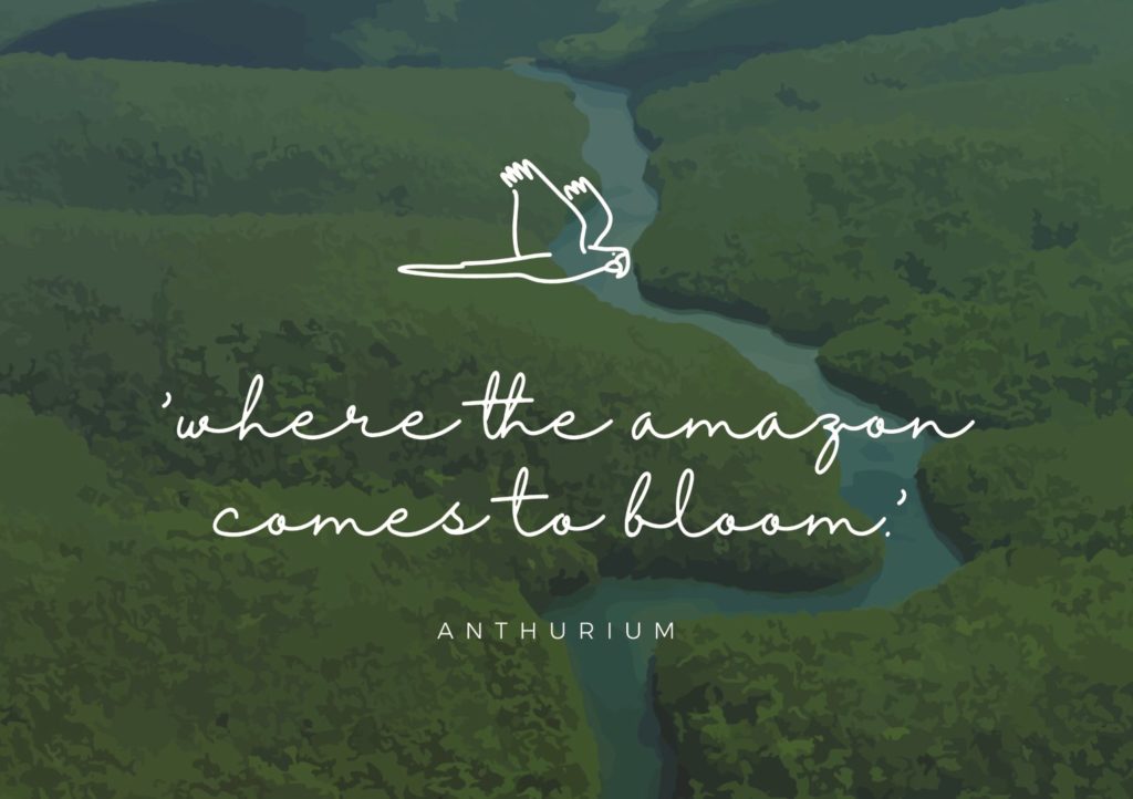 Het nieuwe logo en de nieuwe slogan van Amazone Plants: 'where the amazon comes to bloom' 