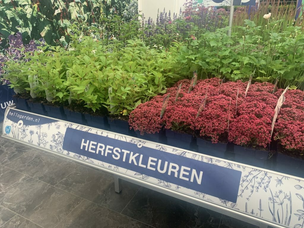 Een schap vol herfstkleuren, winterharde groenblijvende planten, van Griffioen Wassenaar. Gespot door Pull Position tijdens Plantarium 2019. 