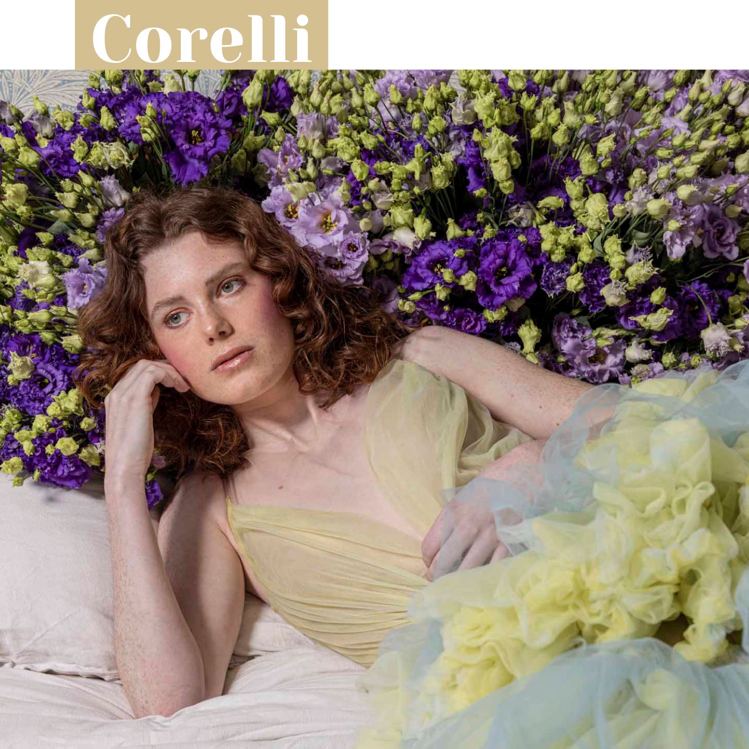 Conceptontwikkeling Corelli