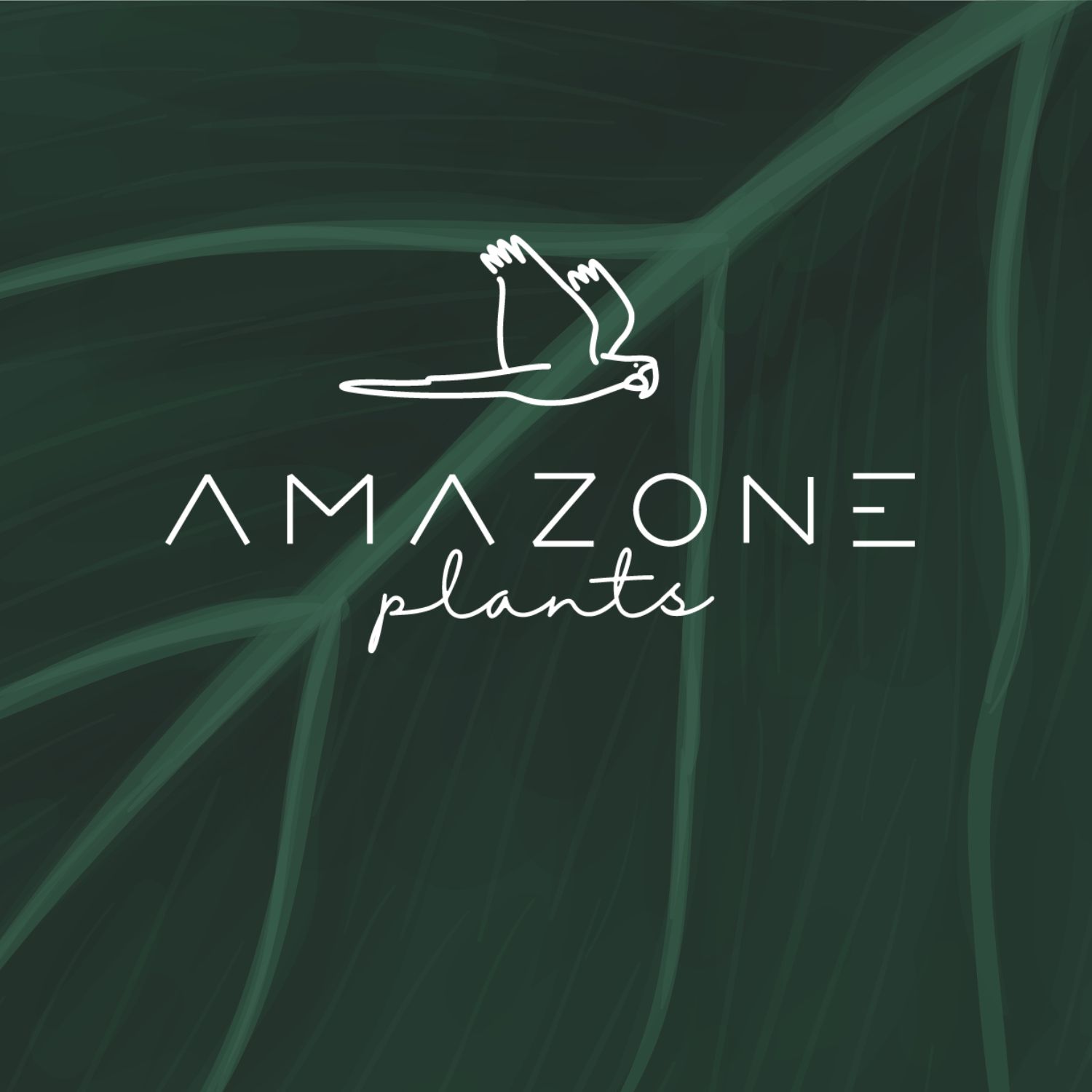 Huisstijl Amazone Plants