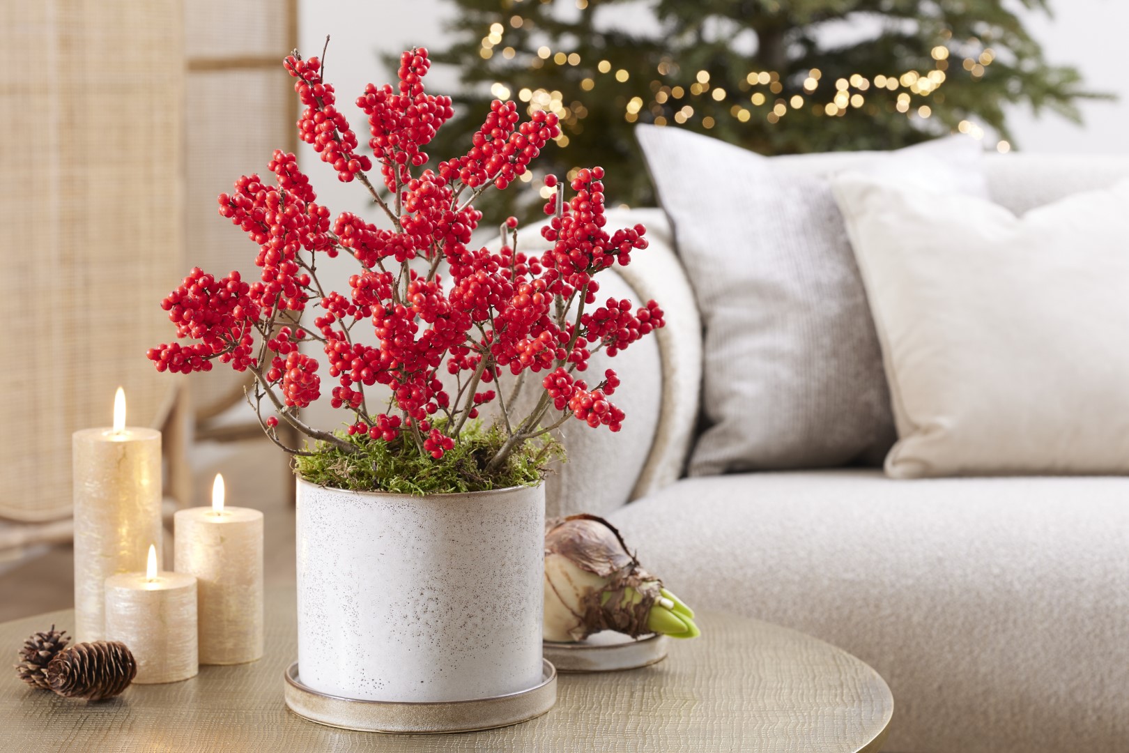 Ilex Jingle Bells 2 1