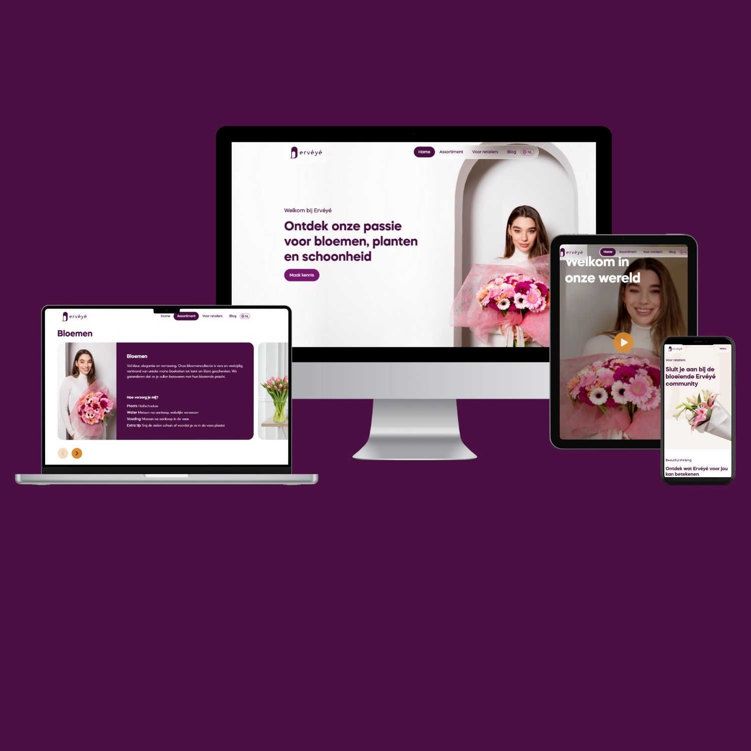 Website Erveye 2