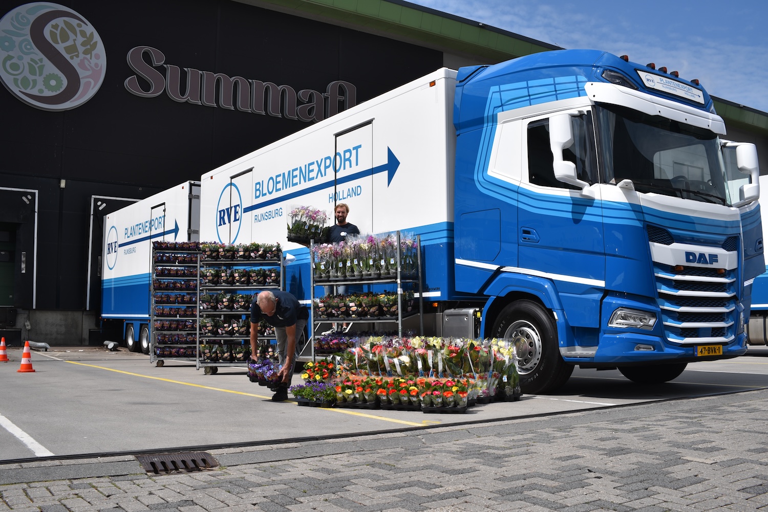 Website ontwikkeling voor RVE bloemenexport