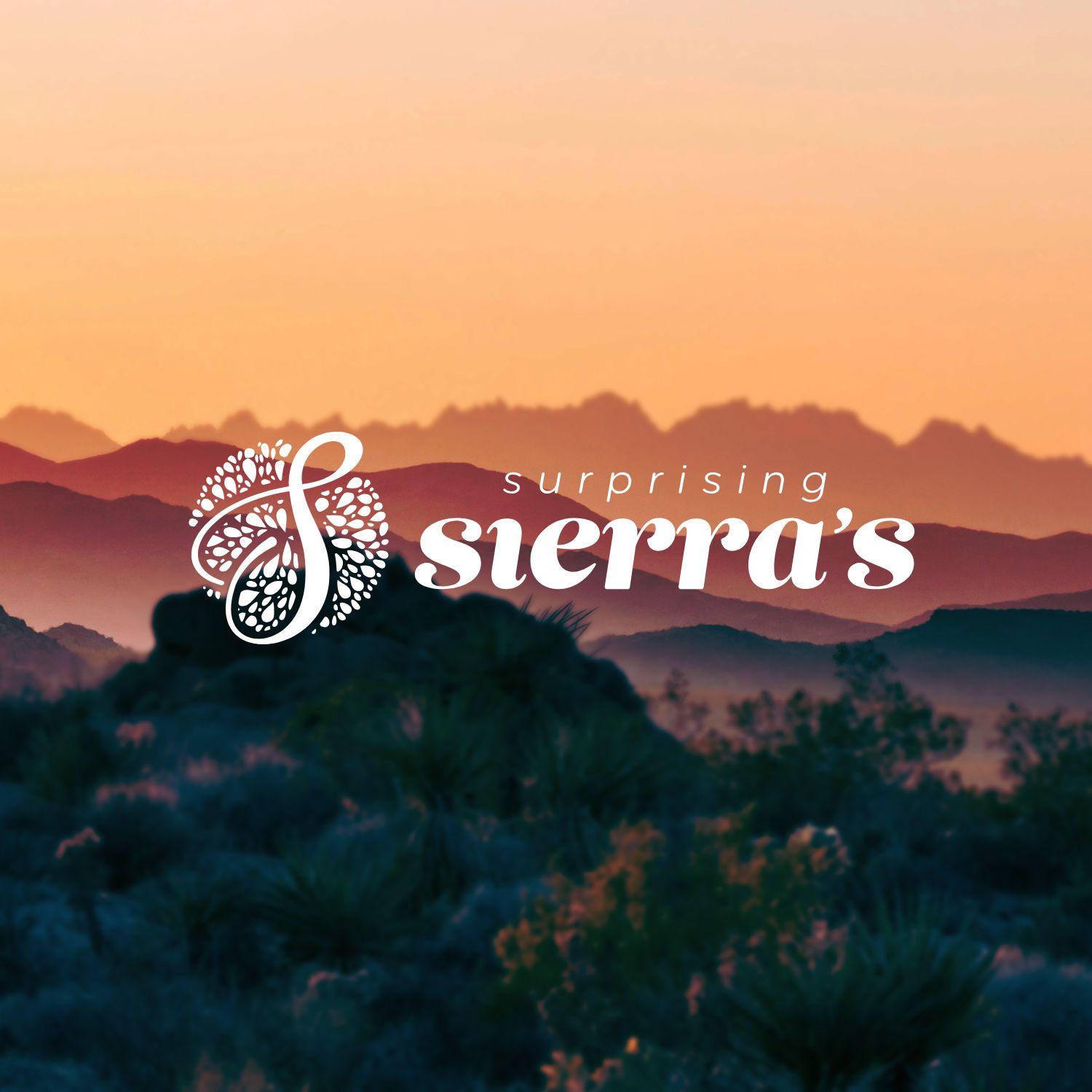 Conceptontwikkeling Surprising Sierras 1