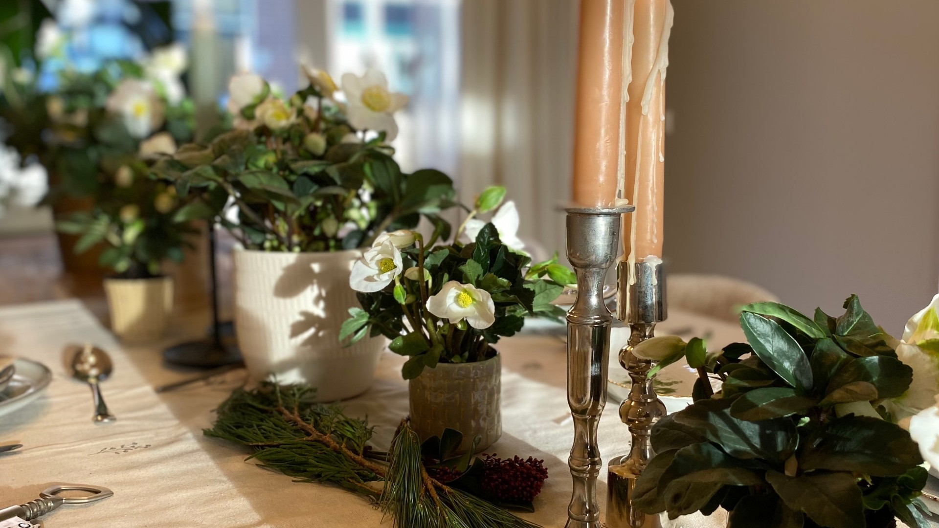 Christmas Carol social media Groot