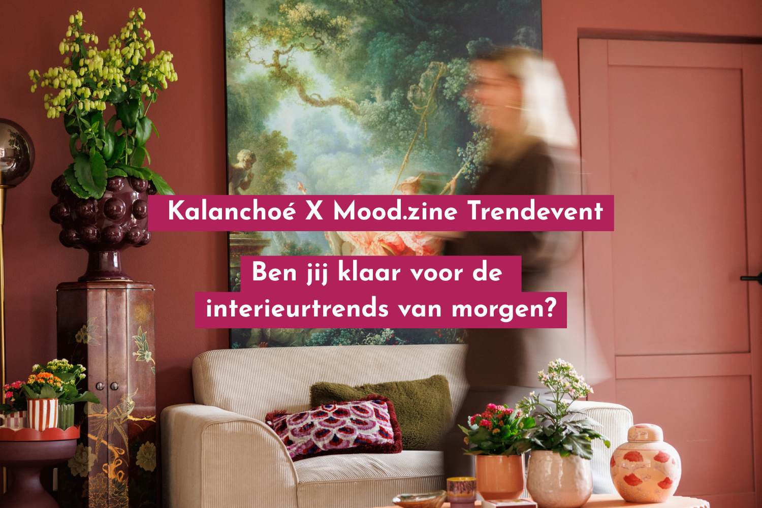 Kalanchoe Mood.zine Pull Position Trendevent
